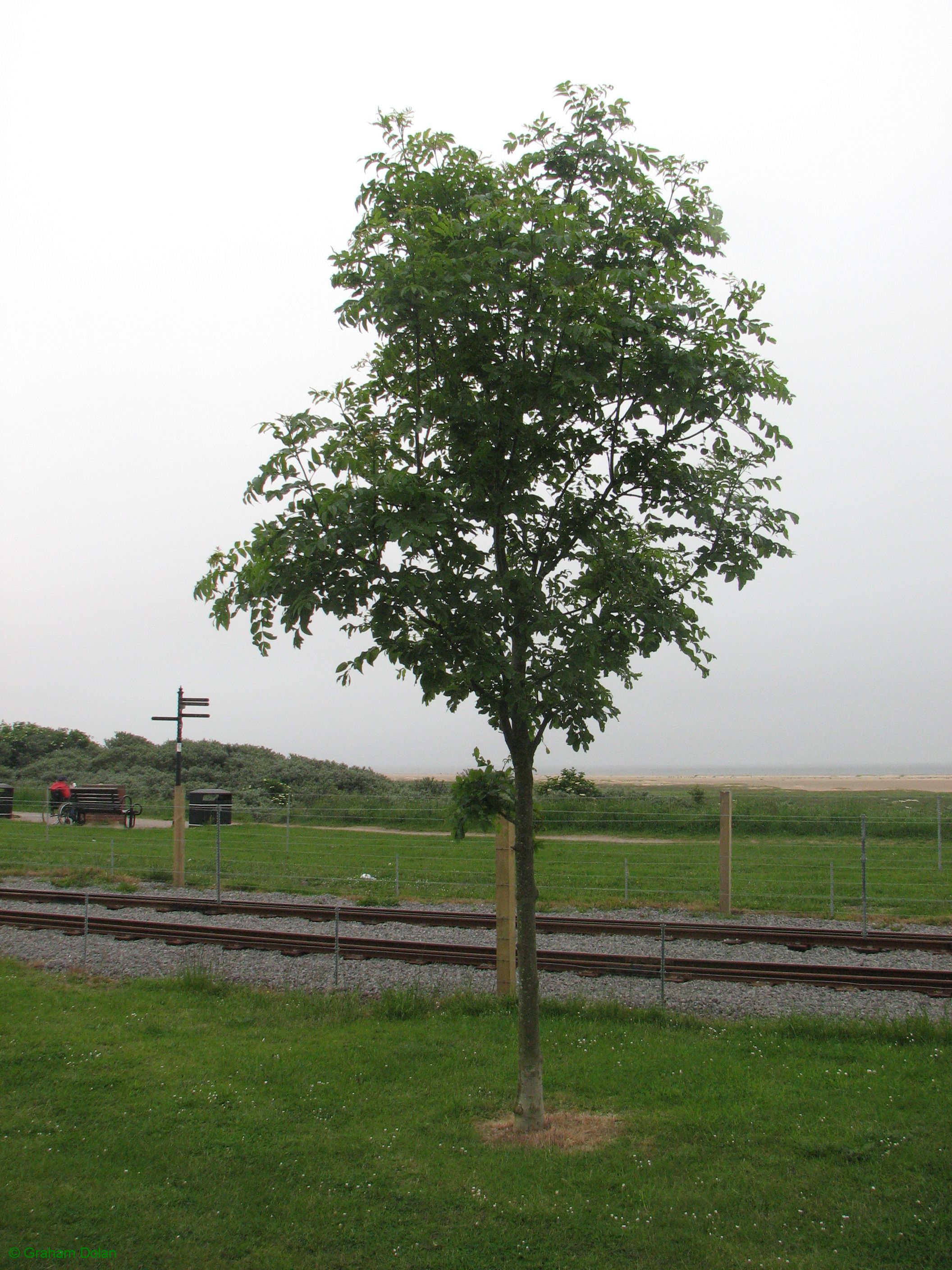 Greenwich Meridian Marker; England; Lincolnshire; Cleethorpes